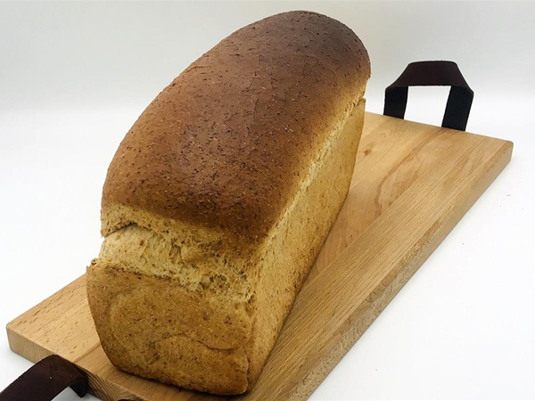 Bruin Brood